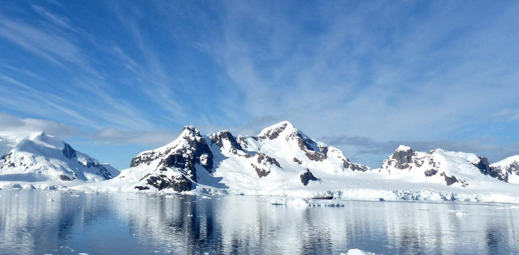 Houd je huid jong met Antarcticine!