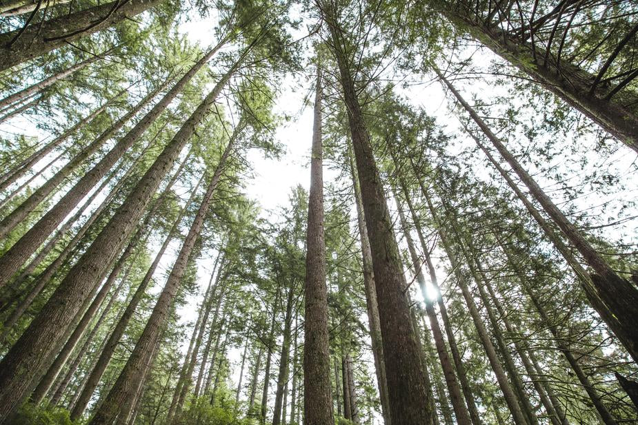 De ecologische voetafdruk van Organicspa