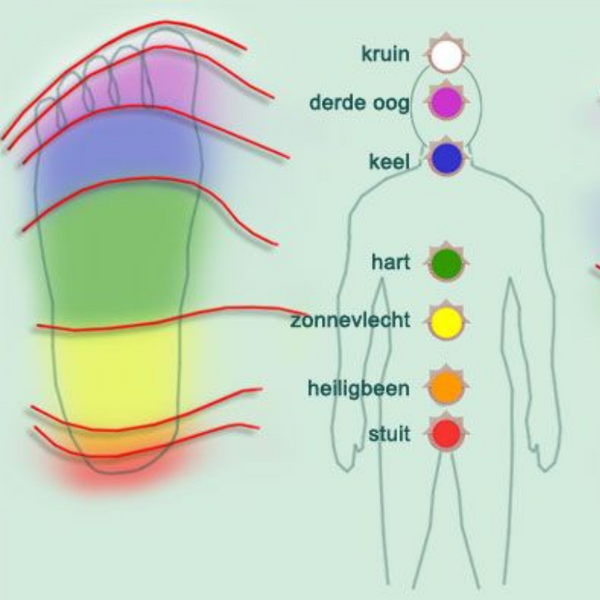 Opleiding Schoonheid van het Energetisch lichaam 02/02/2025